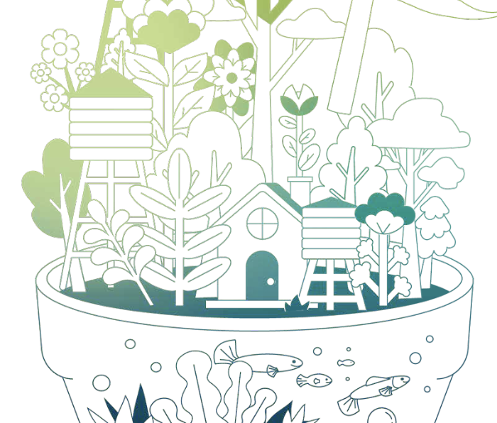 Reforestation and Biodiversity