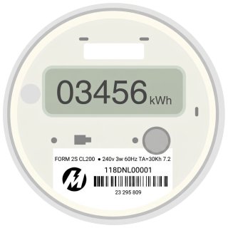 Electronic Meter