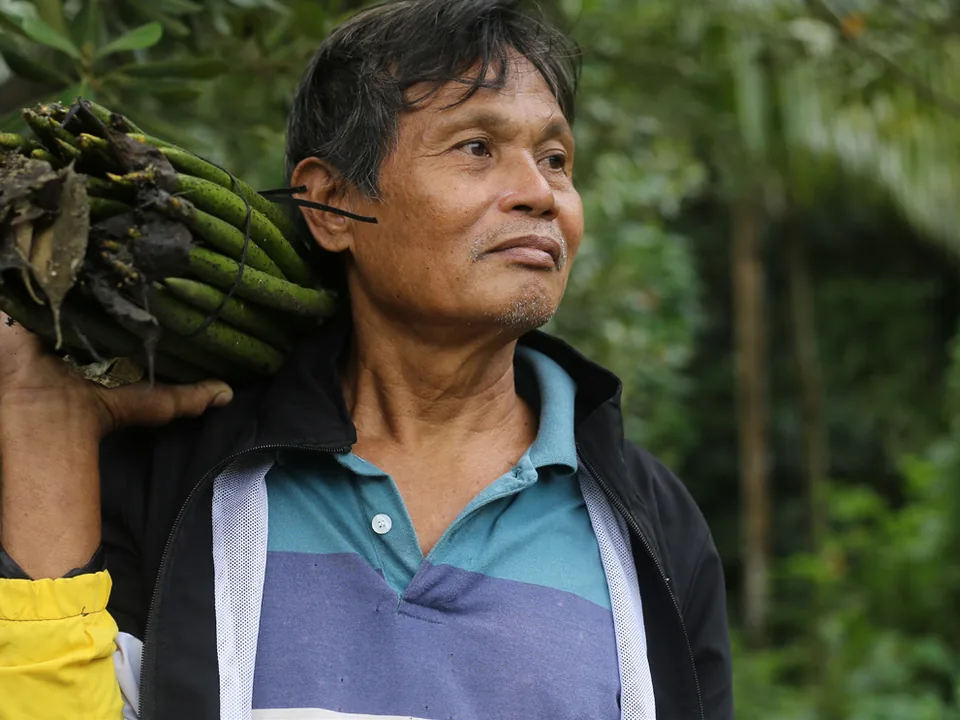 A community member carrying mangrove seedlings for restoration work in Aklan.