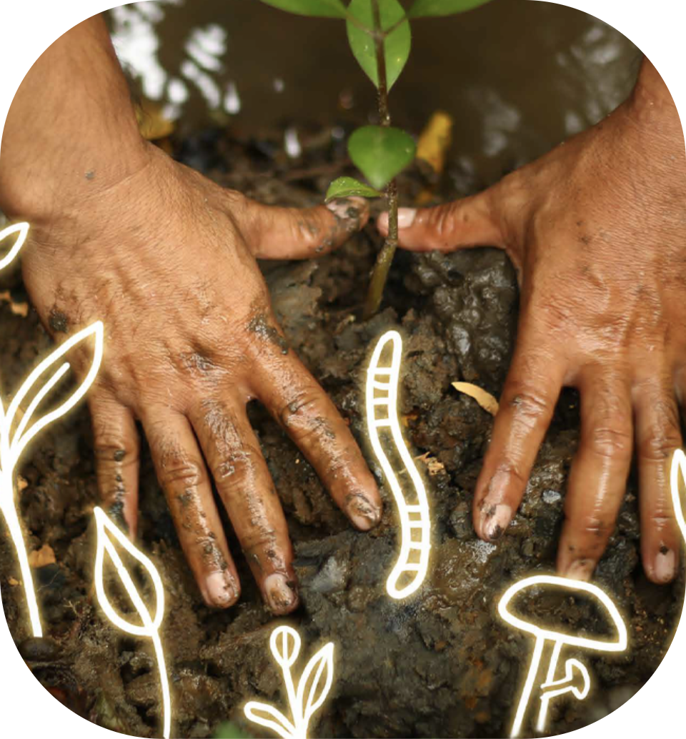 Environmental Sustainability