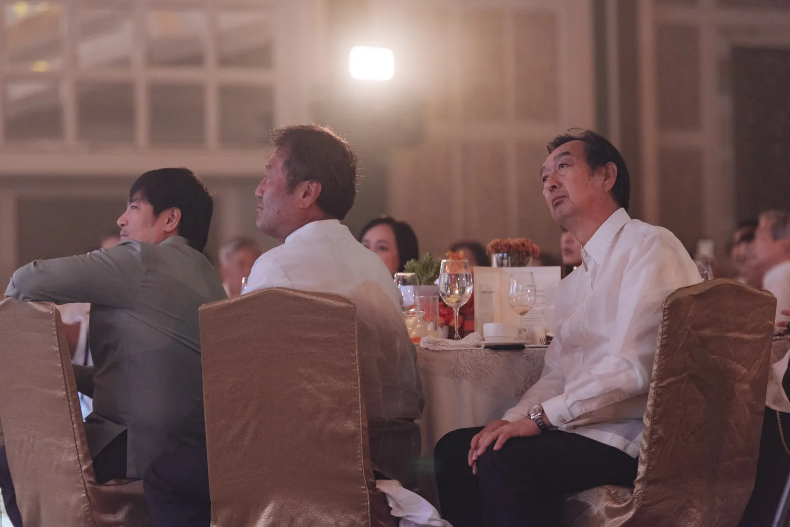 Meralco Luminaries 2019