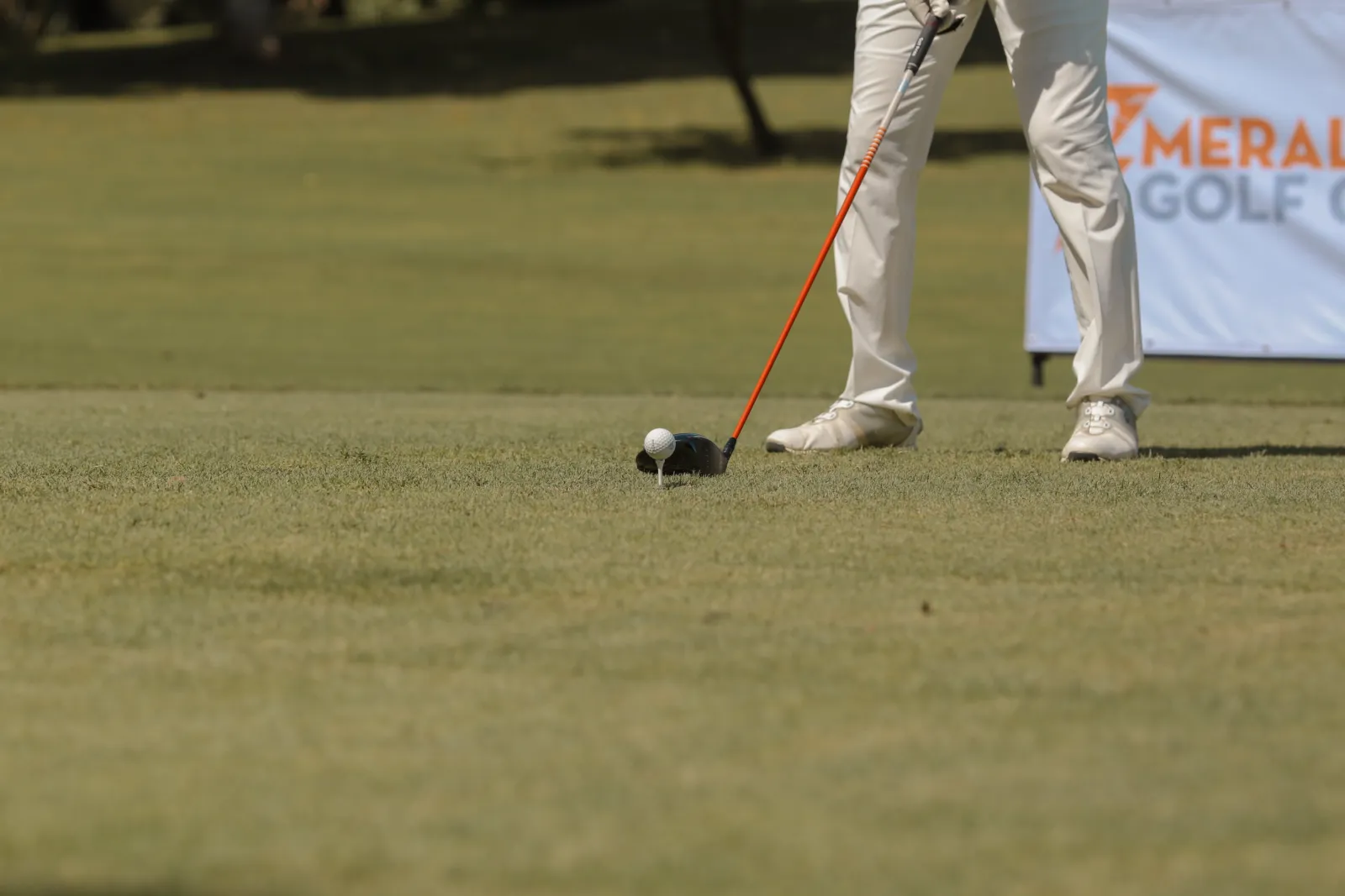 Meralco Golf Cup (November 18, 2019) - Part III — photo download-44