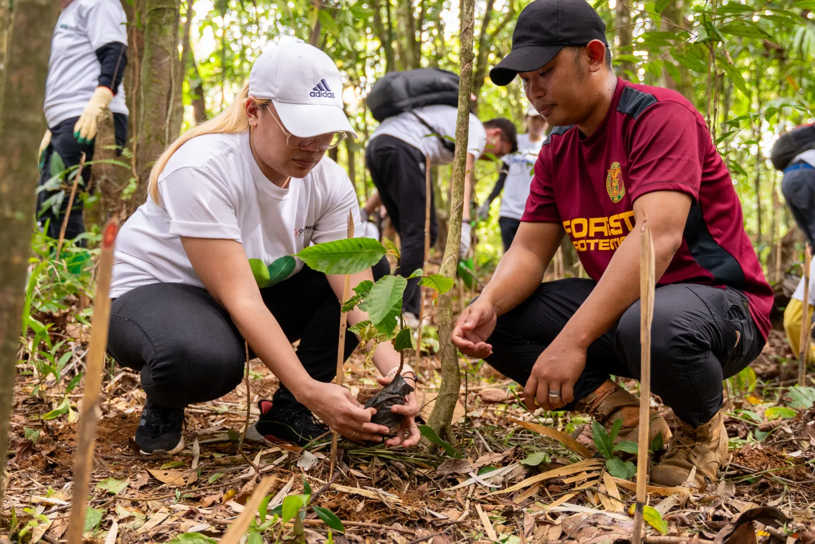 Volunteers of the tree-planting activities in UP LQLG were guided by forest rangers who protect the area.