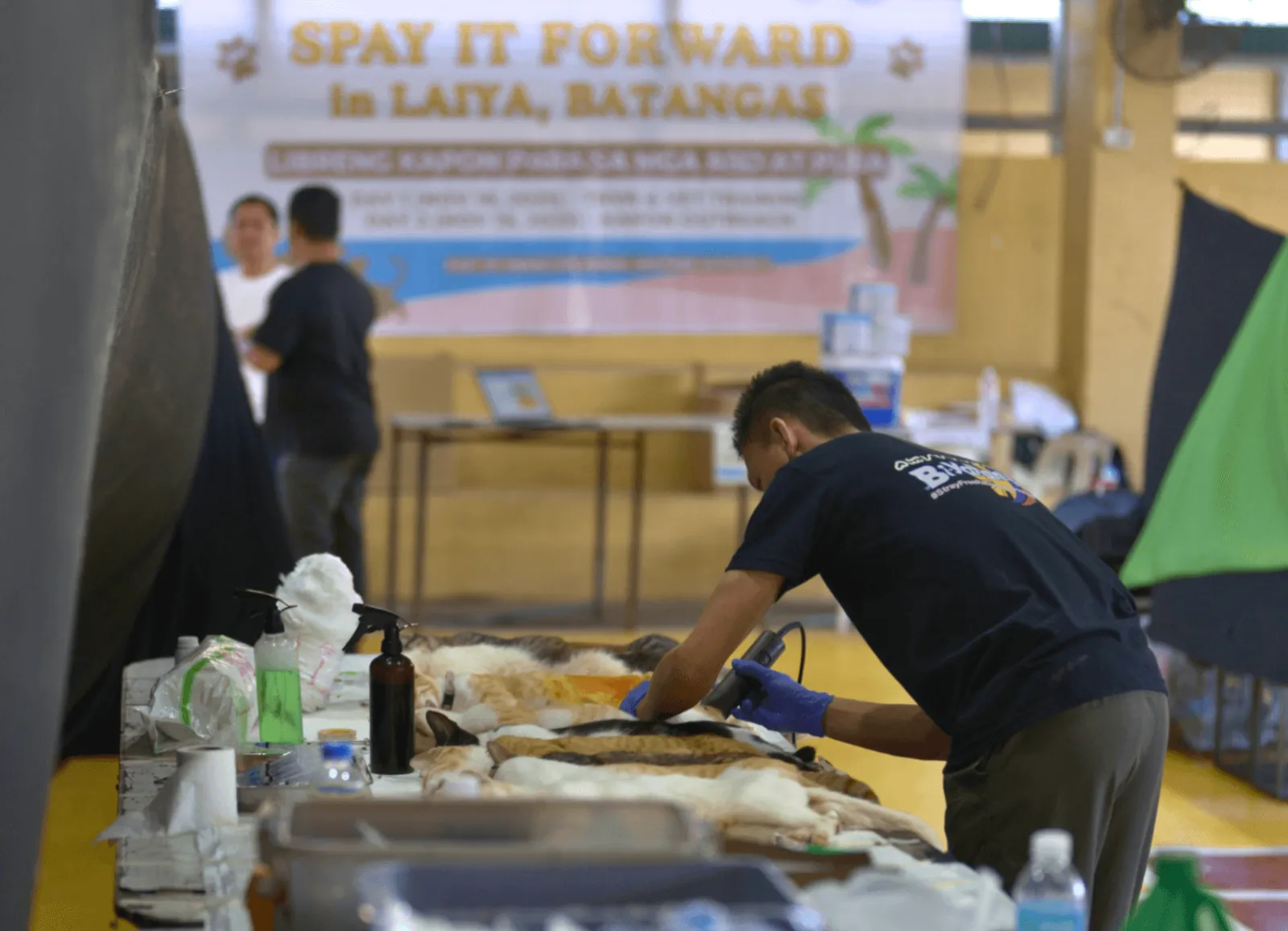 CATROPA: MERALCO Animal Welfare Program — photo 5