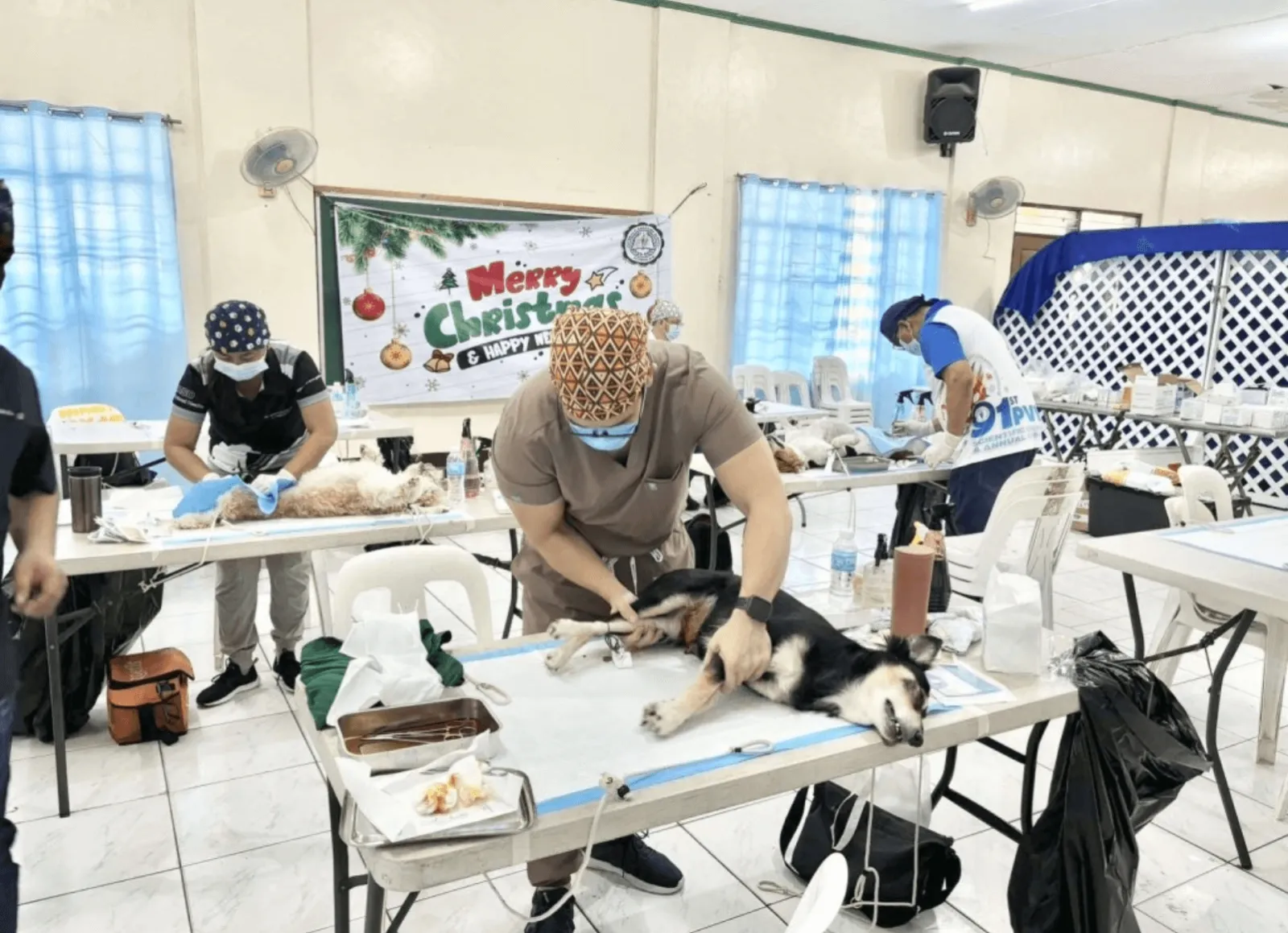 CATROPA: MERALCO Animal Welfare Program — photo 6