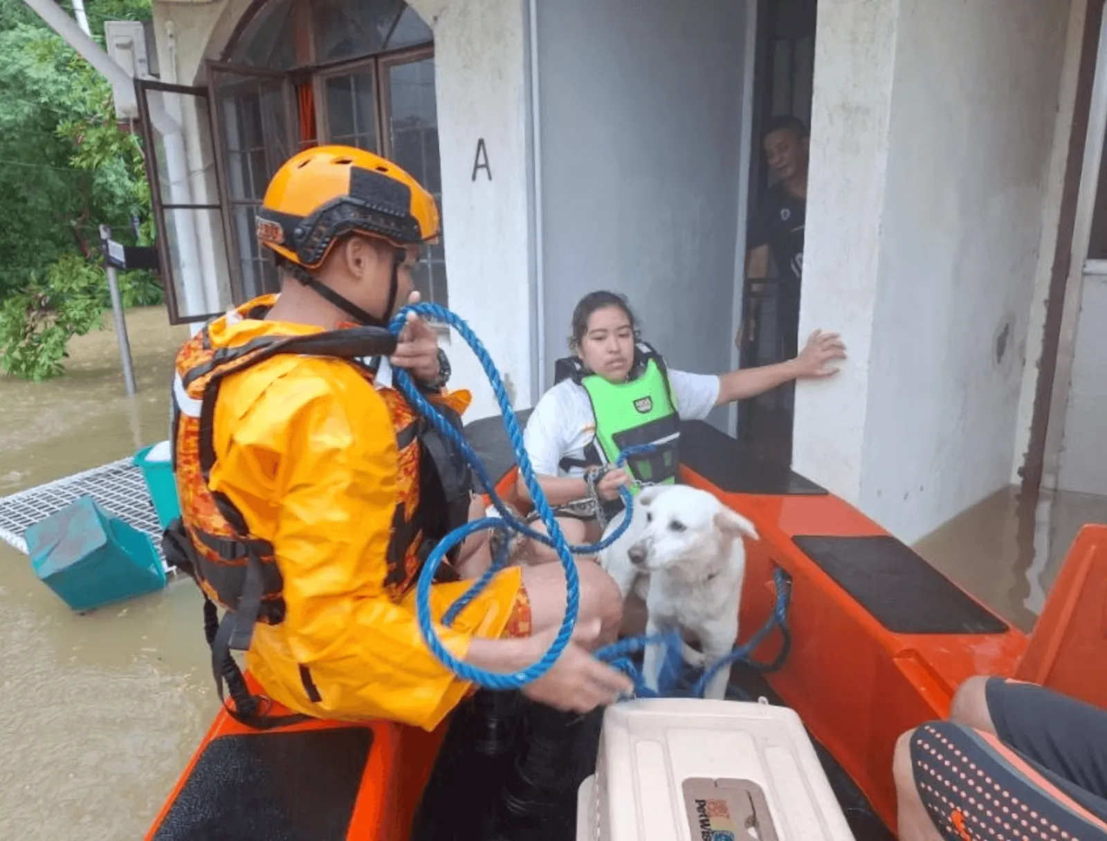 CATROPA: MERALCO Animal Welfare Program — photo 7