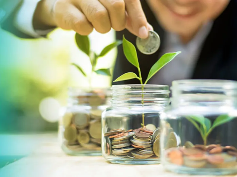 Thumbnail: Investing into sustainability