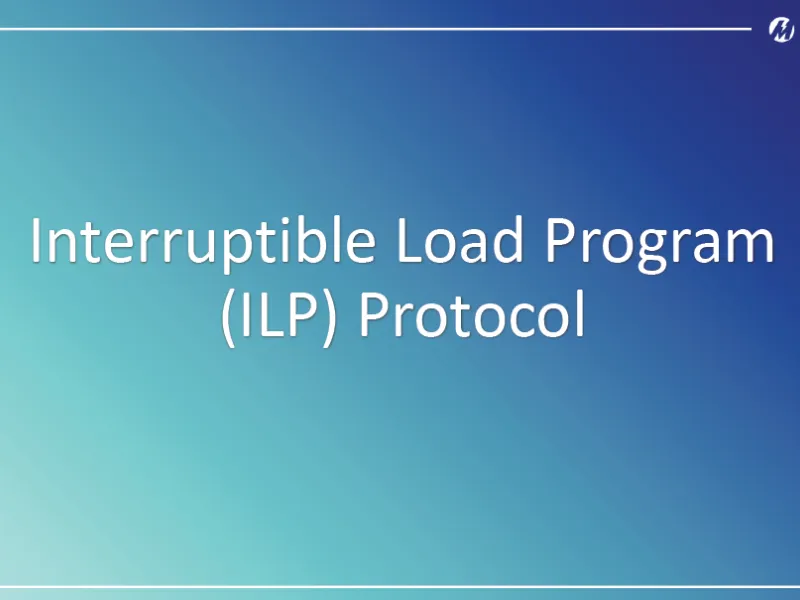 Interruptible Load Program Guidelines