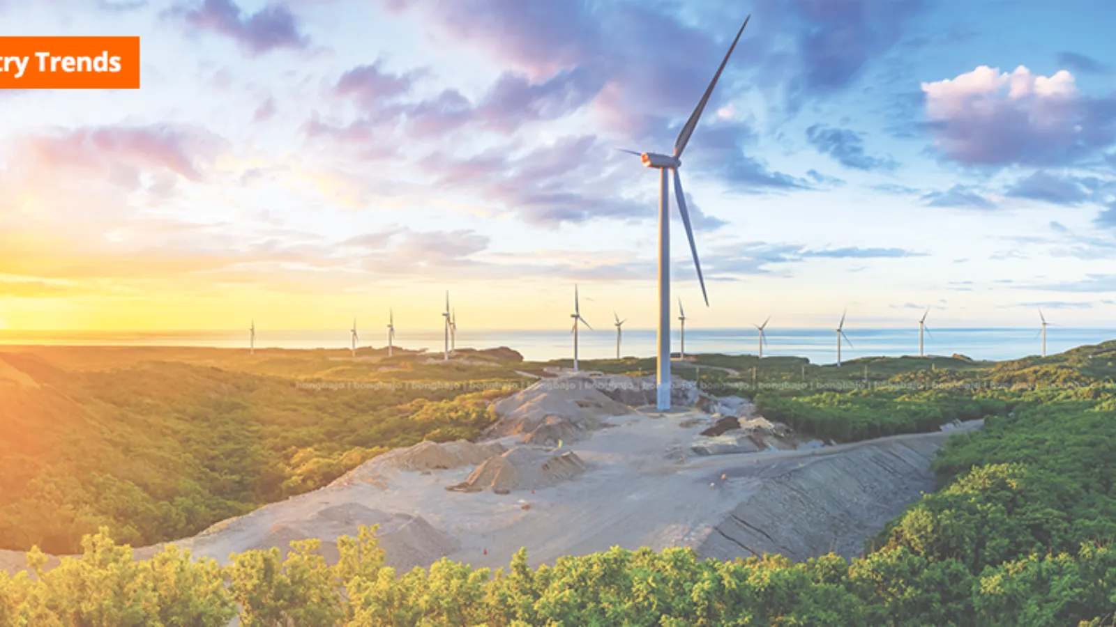 Meralco Power Club Industry Trends