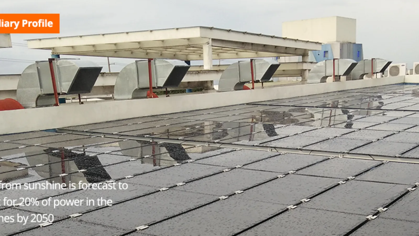 Meralco Power Club Subsidiary Profile