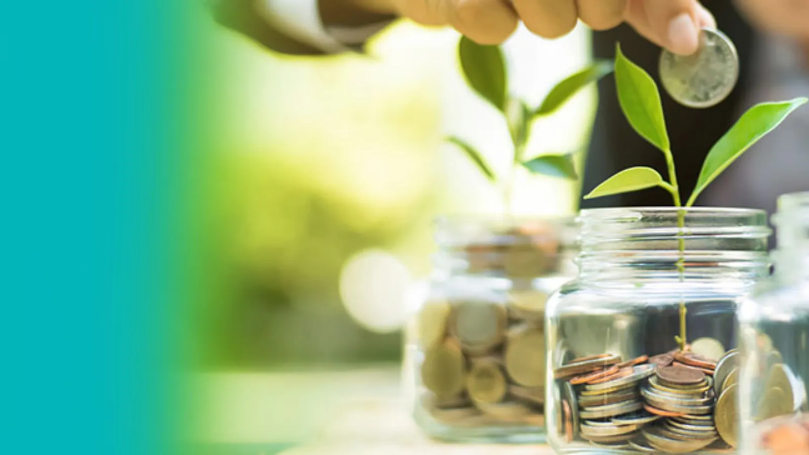 Article Banner: Investing into sustainability