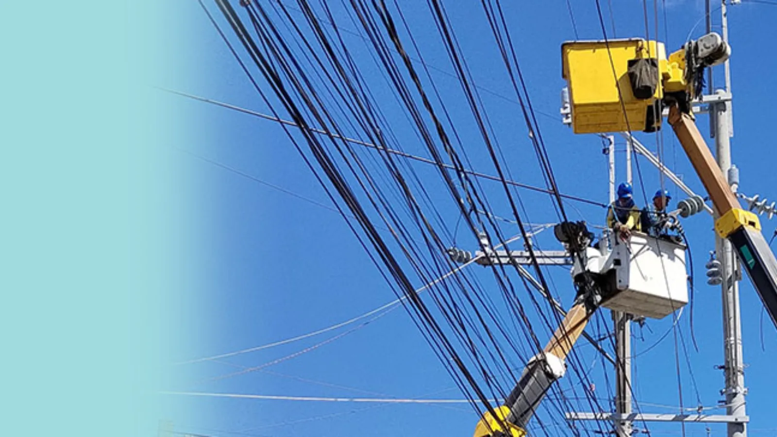 Red Tape article banner