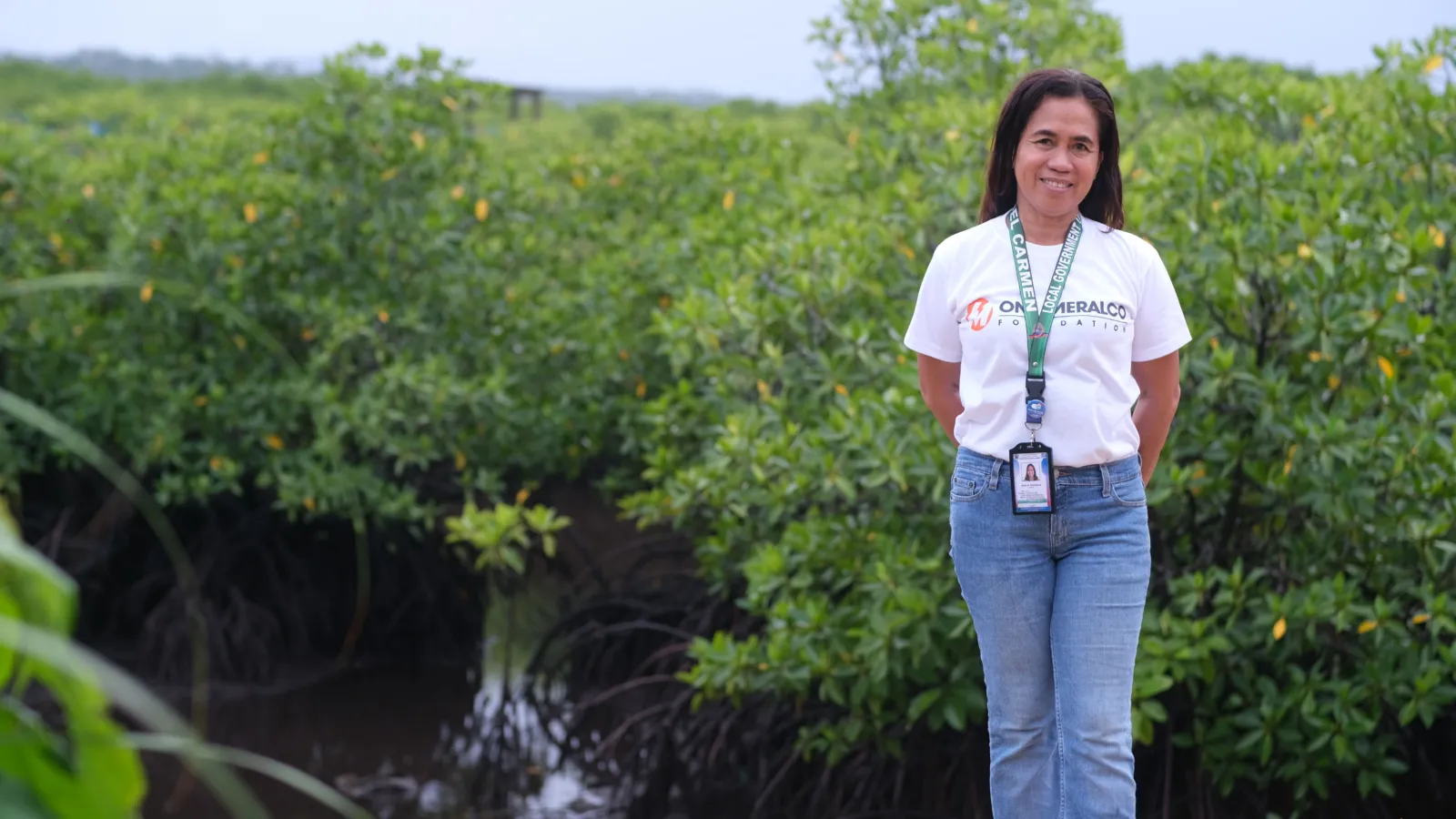 Preserving Mangrove Forests Across the Philippines