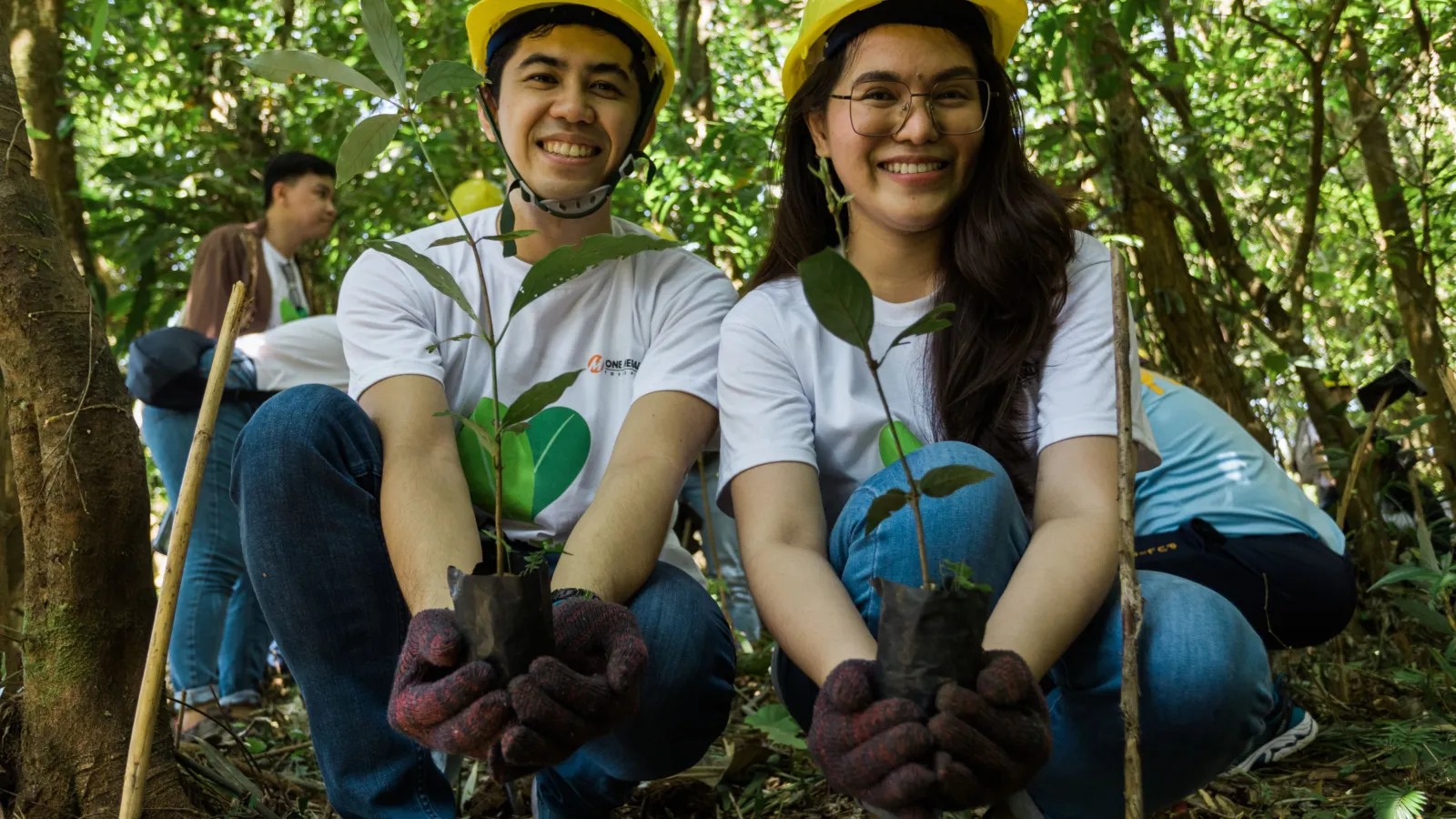 Engaging Partners and Volunteers in Reforestation in Efforts in Laguna