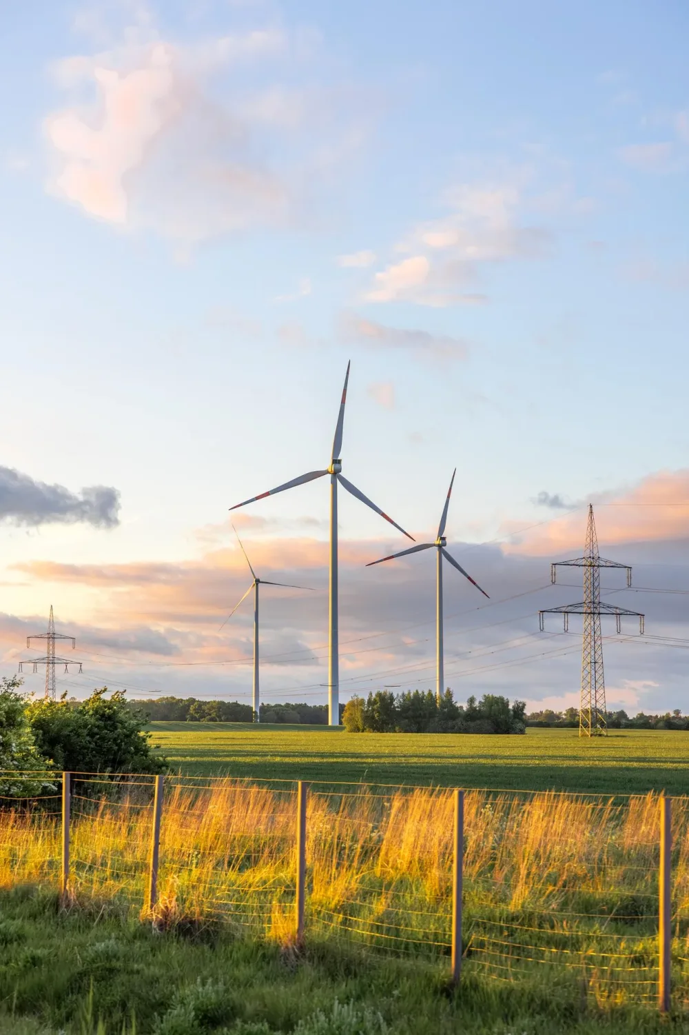 Wind turbines generate renewable energy across a green landscape.